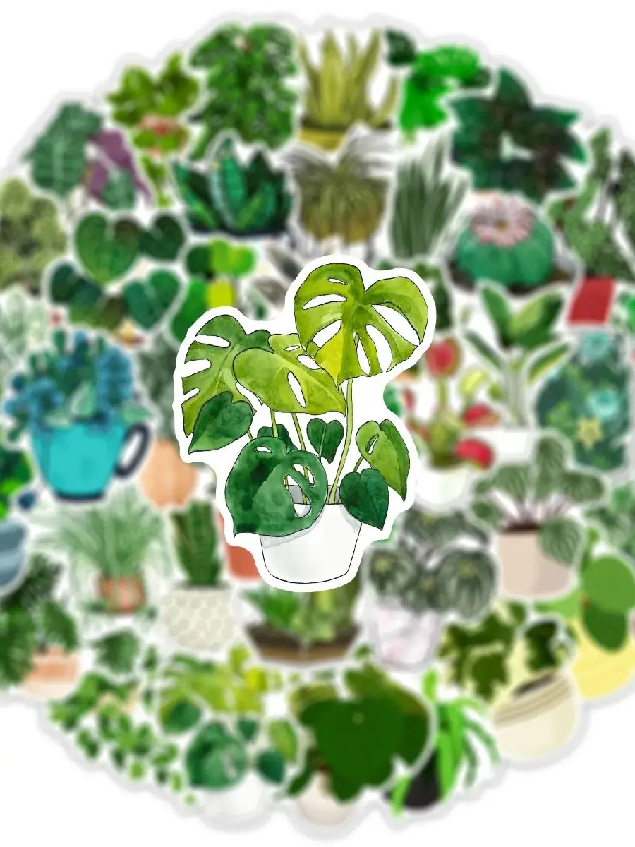 AliExpress NONE 50Pcs Cute Plants Green Aesthetic Stickers DIY Decoration For Fridge Notebook Bike Phone Suitcase Cartoon Sticker
