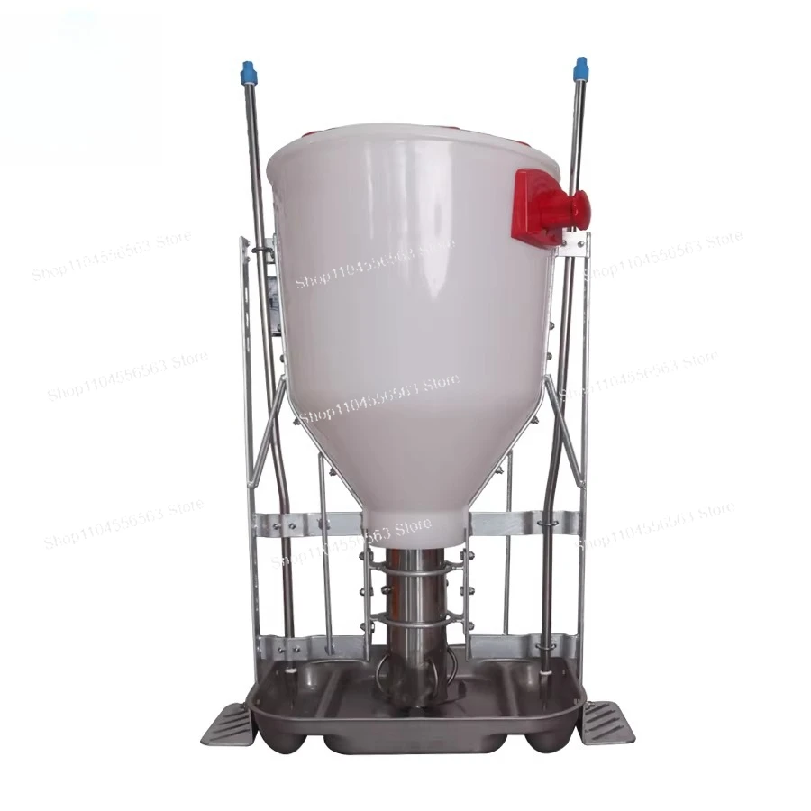 

Automatic Feeder Trough for Pigs, Basic Livestock Feeding Equipment