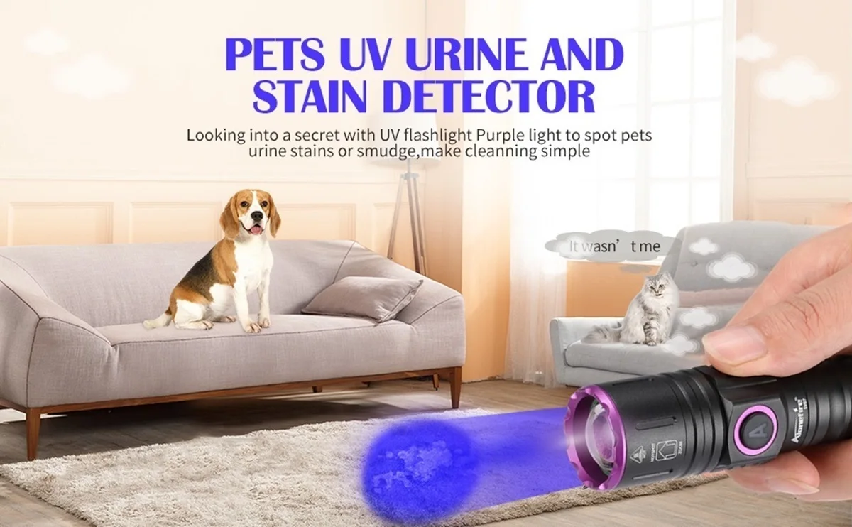 Zoom UV-LED-Taschenlampe 365 395 nm Typ-C-Aufladung, unsichtbare Tinte, Marker, Katze, Hund, Urin, Tinea, Erz, Geld, Skorpion, Fluoreszenzlicht – Detail 2