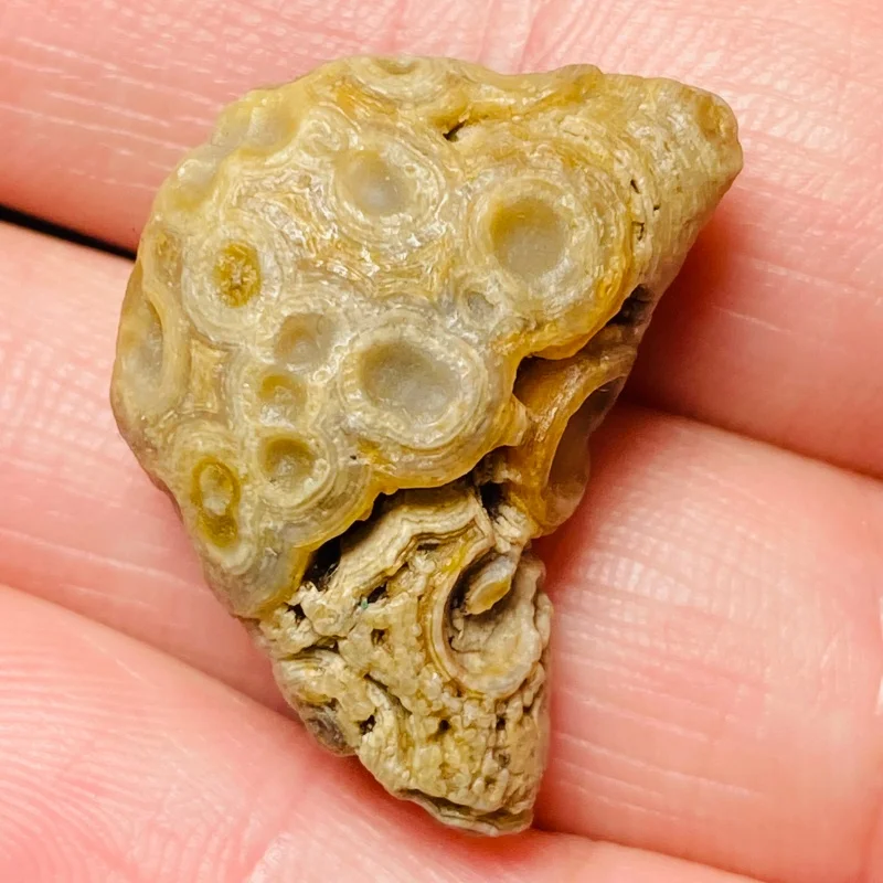 Natural Moon Deity Energy Stone Spiritual Healing Gobi Stone Mineral Specimen - view 3