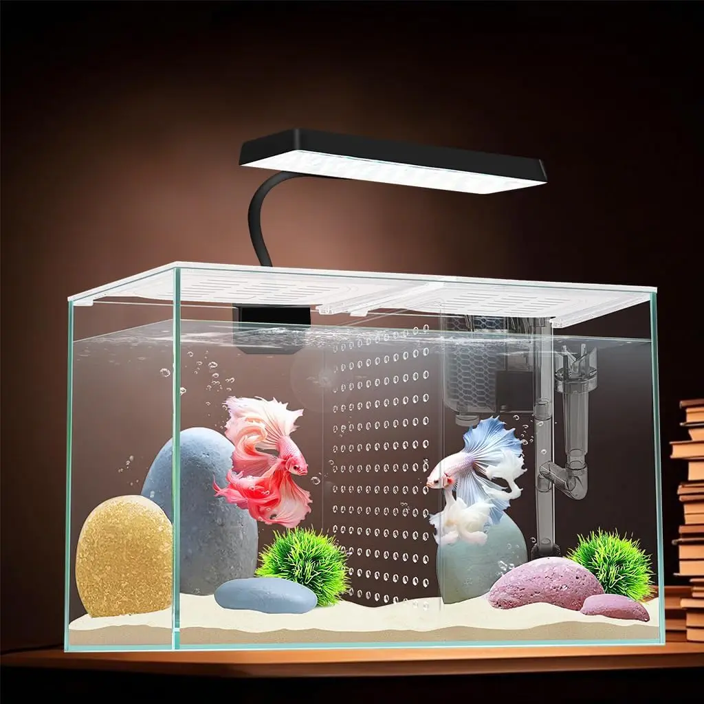 Acquario in nano vetro per pesci da 3 galloni 12,6" L, con piastra separatore per Betta, acquario quadrato multifunzionale con filtro, LED Li