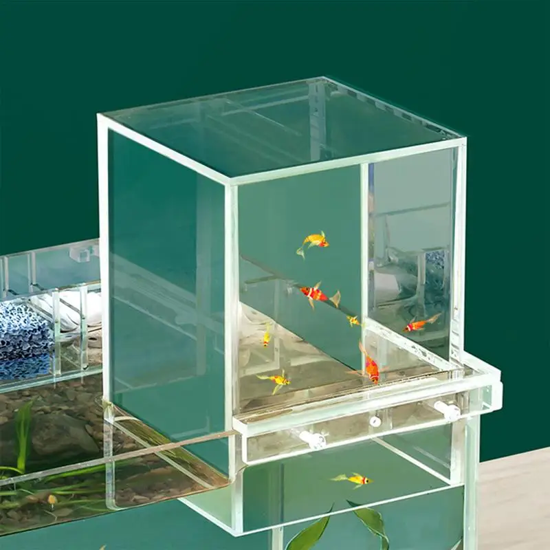 Fish Aquarium Tank Small Transparent Fish Elevator Tank Lightweight Acrylic Inverted Above Water Fish Tank Aquariums & Fish