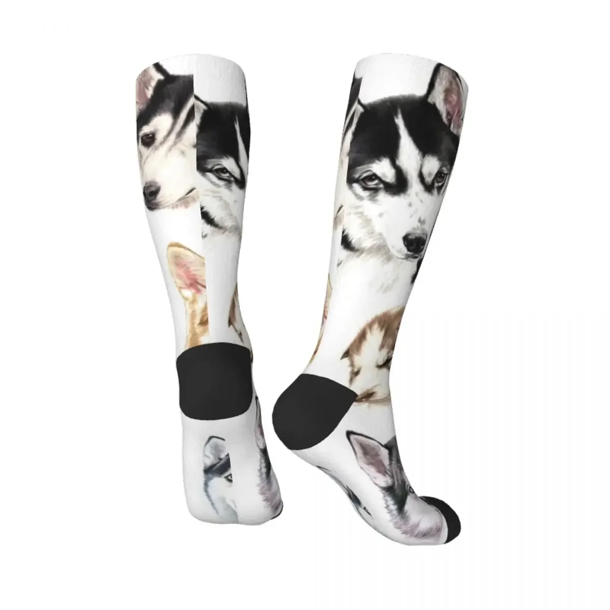 Husky collage Socks Stockings compression Stockings funny sock Socks Male Women's