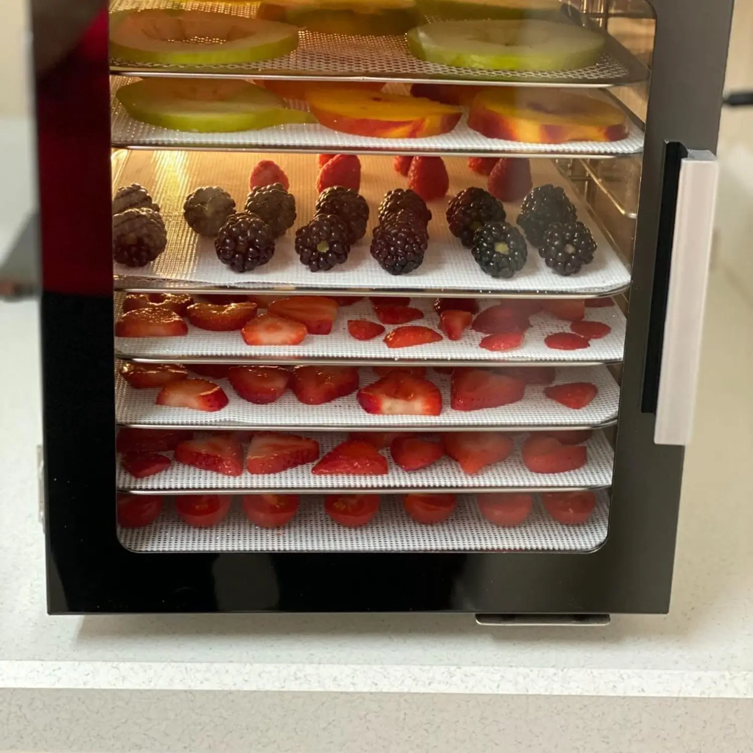 WSFS! Silicone Dehydrator Sheets, Premium Non Stick Silicone Mesh for Fruit Dehydrator, Dehydrator Tray Reusable 12Pcs
