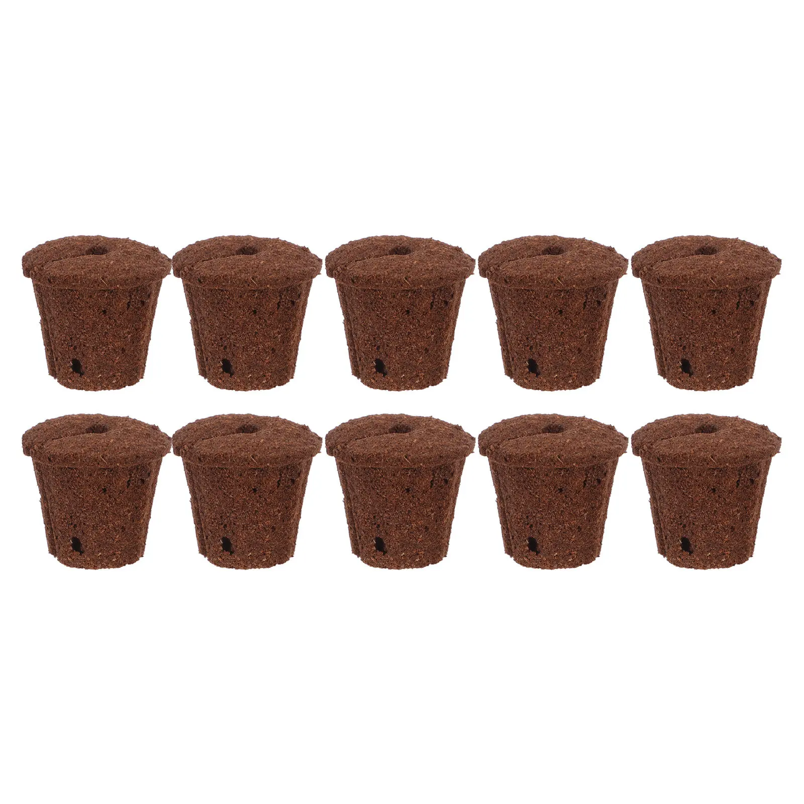 10Pcs Orchid Culture Medium 1.7 Inch Carbon Cotton Growing Sponges Phalaenopsis Nursery Split Propagation Plugs Hydroponics Peat