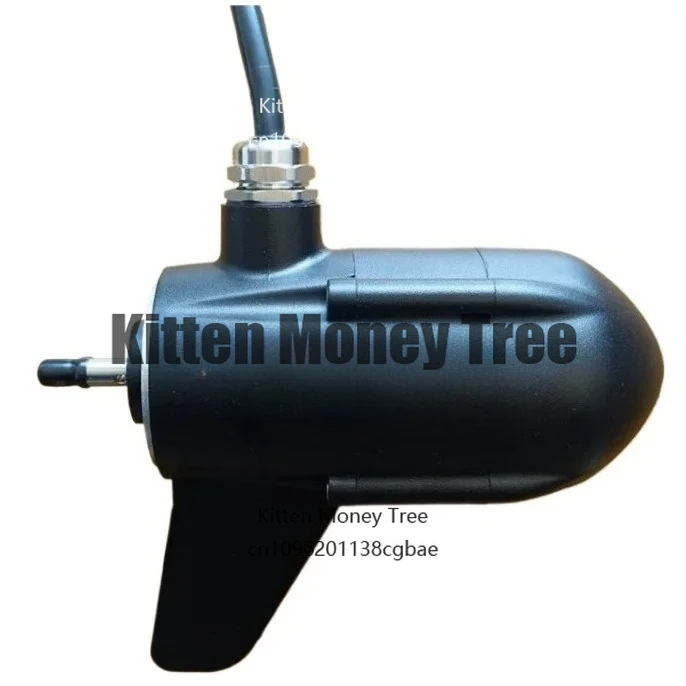 

12V /24V /48V Marine Outboard Engine, Suspended Electric Propulsion Underwater Suspended Lift Propulsion Brushless Motor