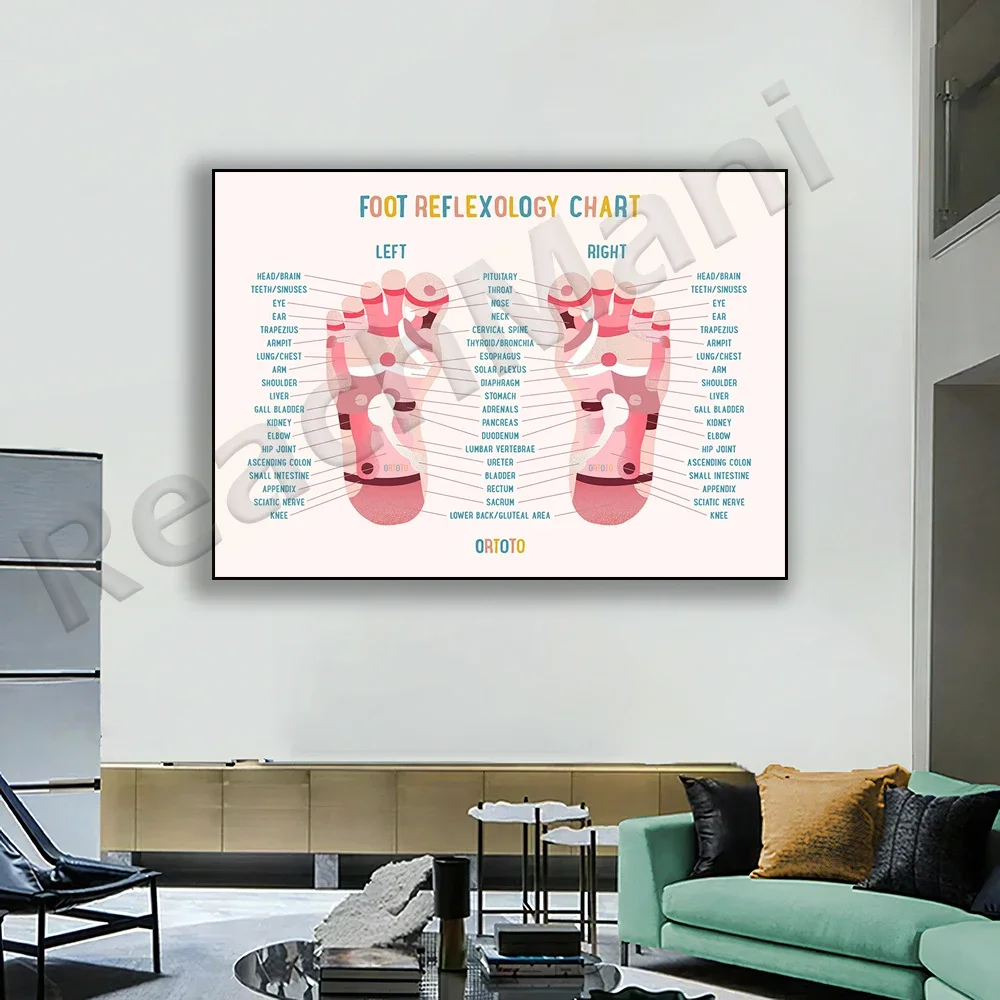 Educational Reflexology Acupuncture Foot Infographics Art Poster for Massage Therapists And Acupuncturists Gift