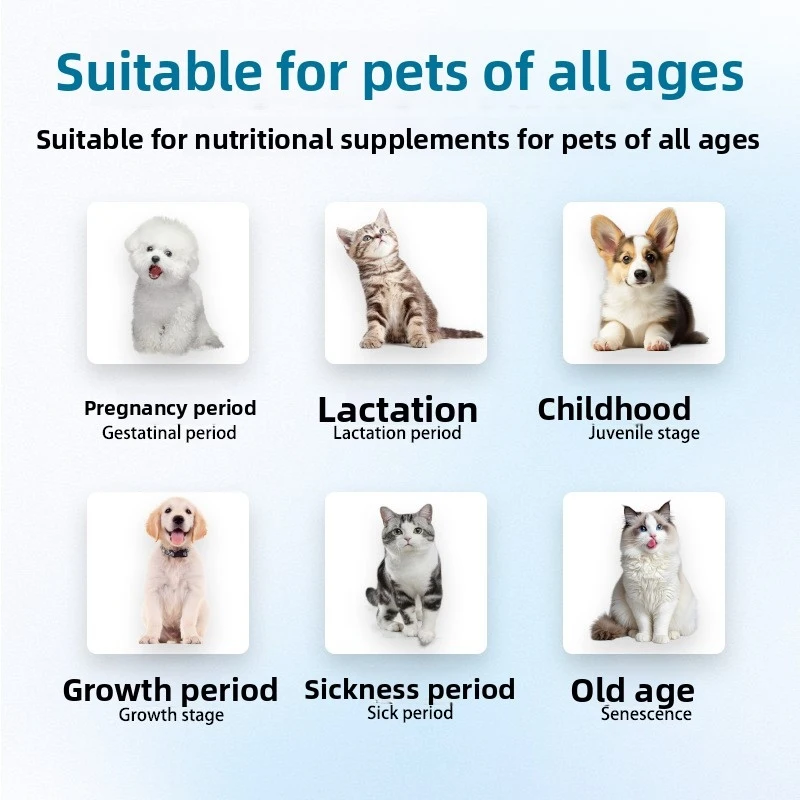 Afbeelding 3: Mondgeurverwijderaar voor huisdieren, tandsteenverwijderaar voor katten en honden, mondgeureliminator, tandplakverwijderaar, voedingssupplement voor huisdieren