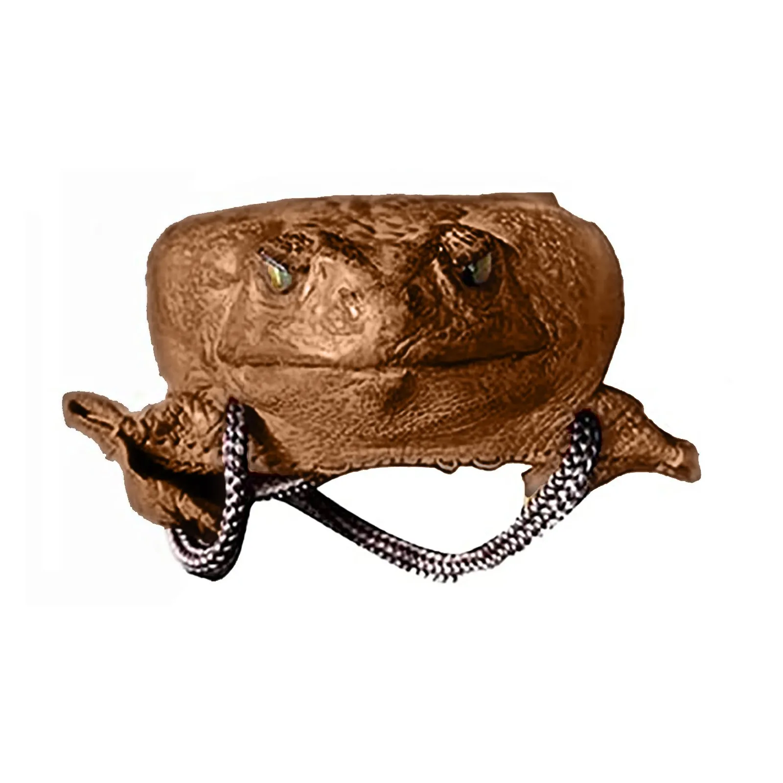 Sugar Cane Toad-Full-Body Purse, Coin Pouch Made From Taxidermy Cane-Toad Simulation toad coin purse, fun wallet