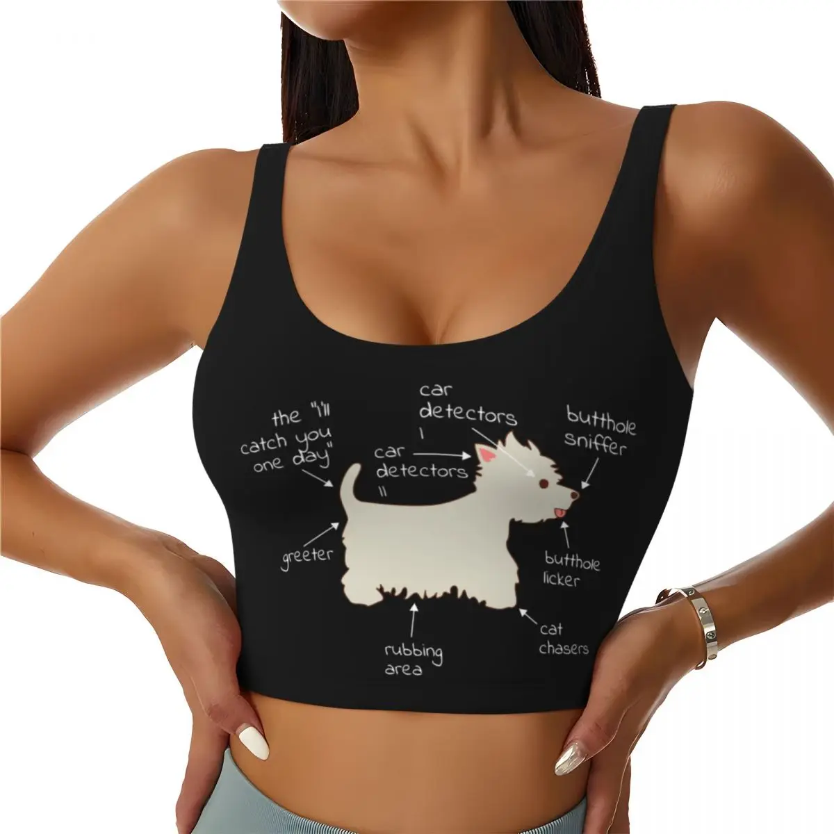 

Custom Women's Westie Dog Anatomy Sports Bras West Highland White Terrier High Impact Gym Workout Yoga Crop Tank Tops