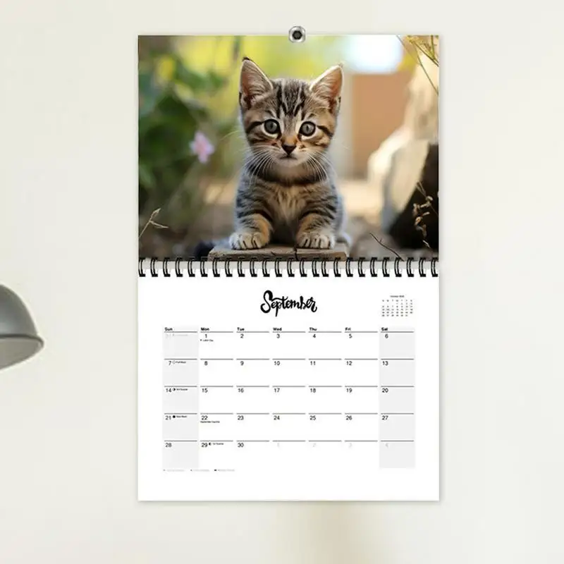 Calendário de parede mensal do gato bonito, planejador familiar Hangable, organizador diário, adorável calendário do gato, 21X28cm, 2025