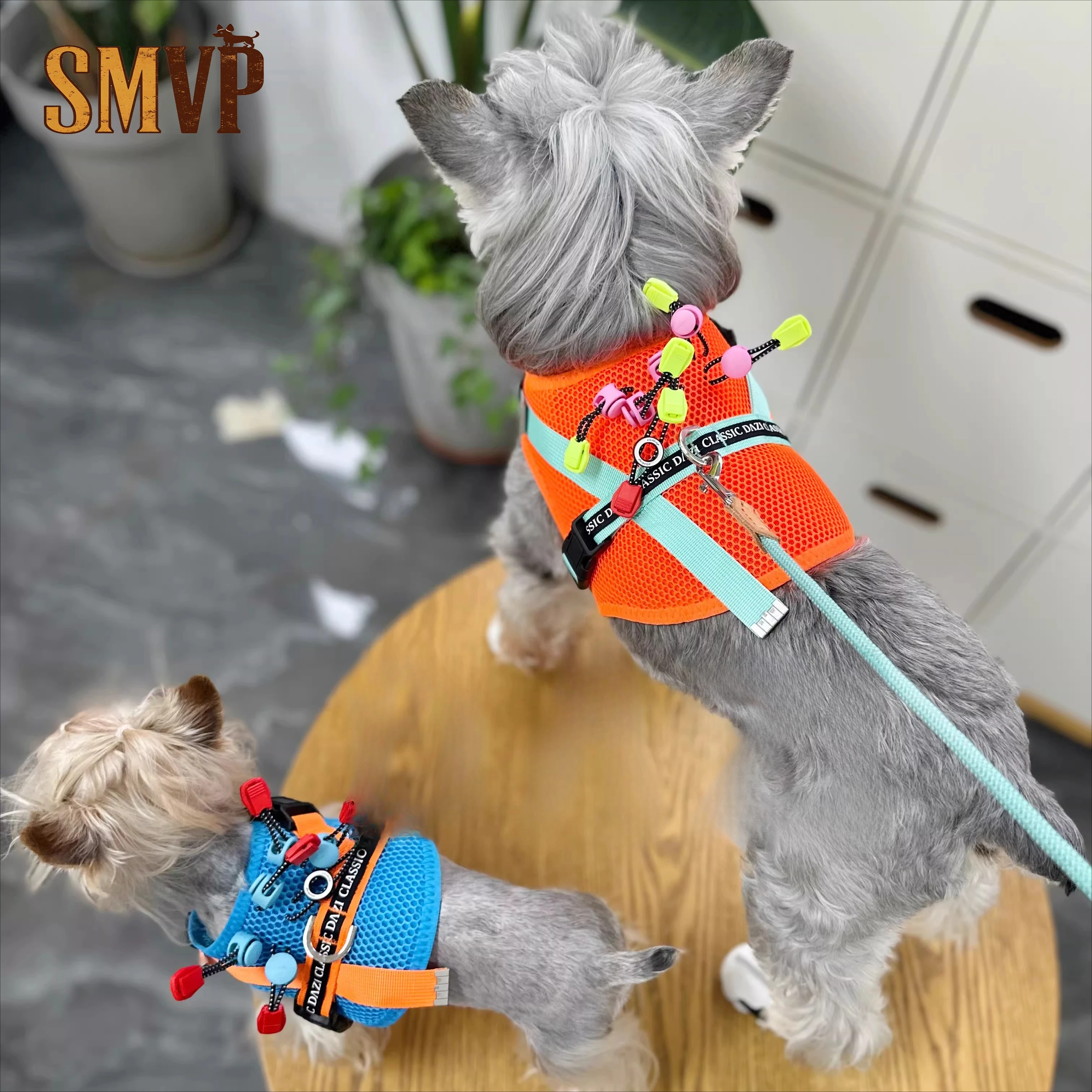 

Four Seasons Color Portable Breathable Mesh Going Out Chest Strap Pet Small Dog Strap Leash Dog Walking Supplies