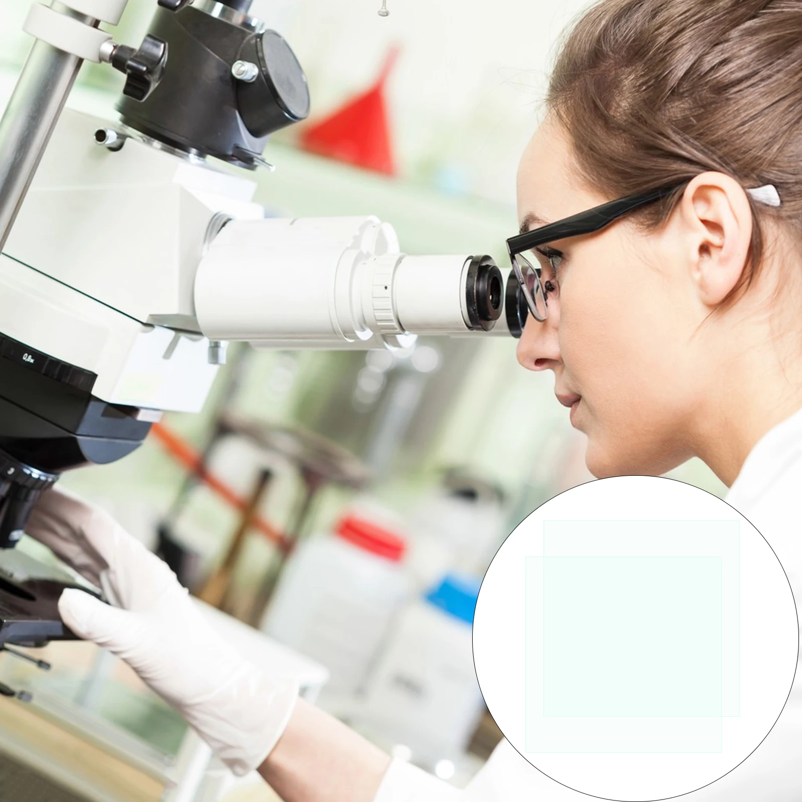 

10 Boxes Microscope Slides Glass Slides Premium Biological Education Observation of Plant Animal Tissue Insects