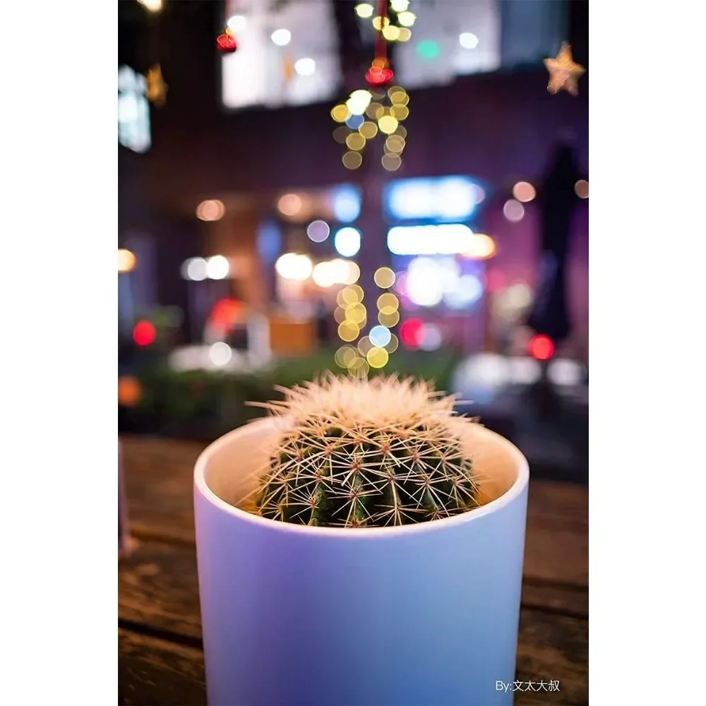 TTArtisan 21 مللي متر F1.5 إطار كامل زاوية واسعة للغاية فتحة كبيرة تركيز يدوي عدسة كاميرا ثابتة لكاميرا Nikon Z Leica M Mount #5