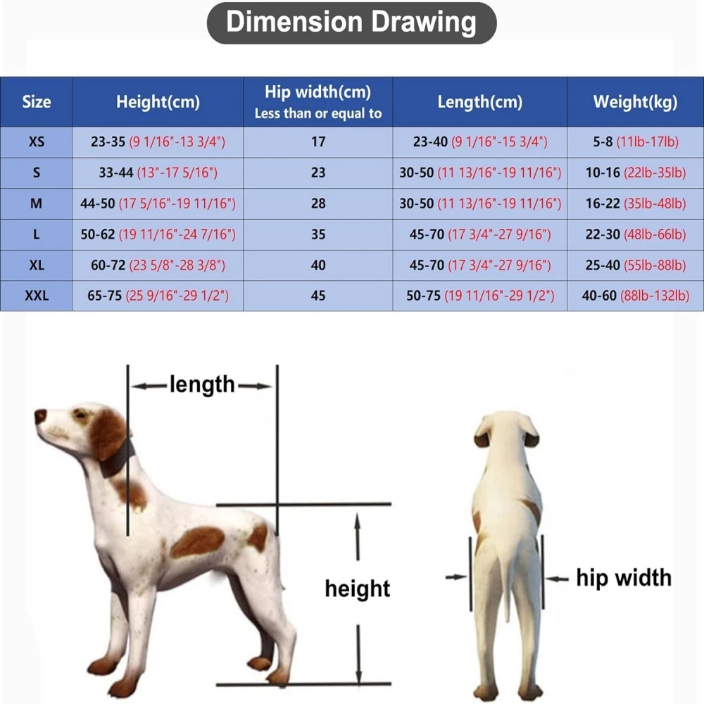 Imagem -05 - Auxiliar Pet Dog Hind Leg Bracket Cadeira de Rodas para Pernas Traseiras Hind Limb Paralisia Caminhada Desativado