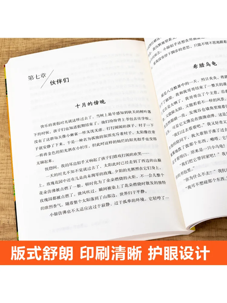 Buch-Winshare Song Of the Little Donkey