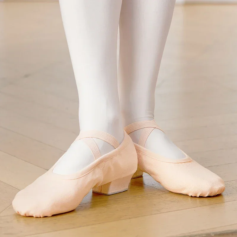 أحذية رقص باليه احترافية للنساء والفتيات بكعب منخفض أحذية رقص قماشية للمعلم لفصل الرقص
