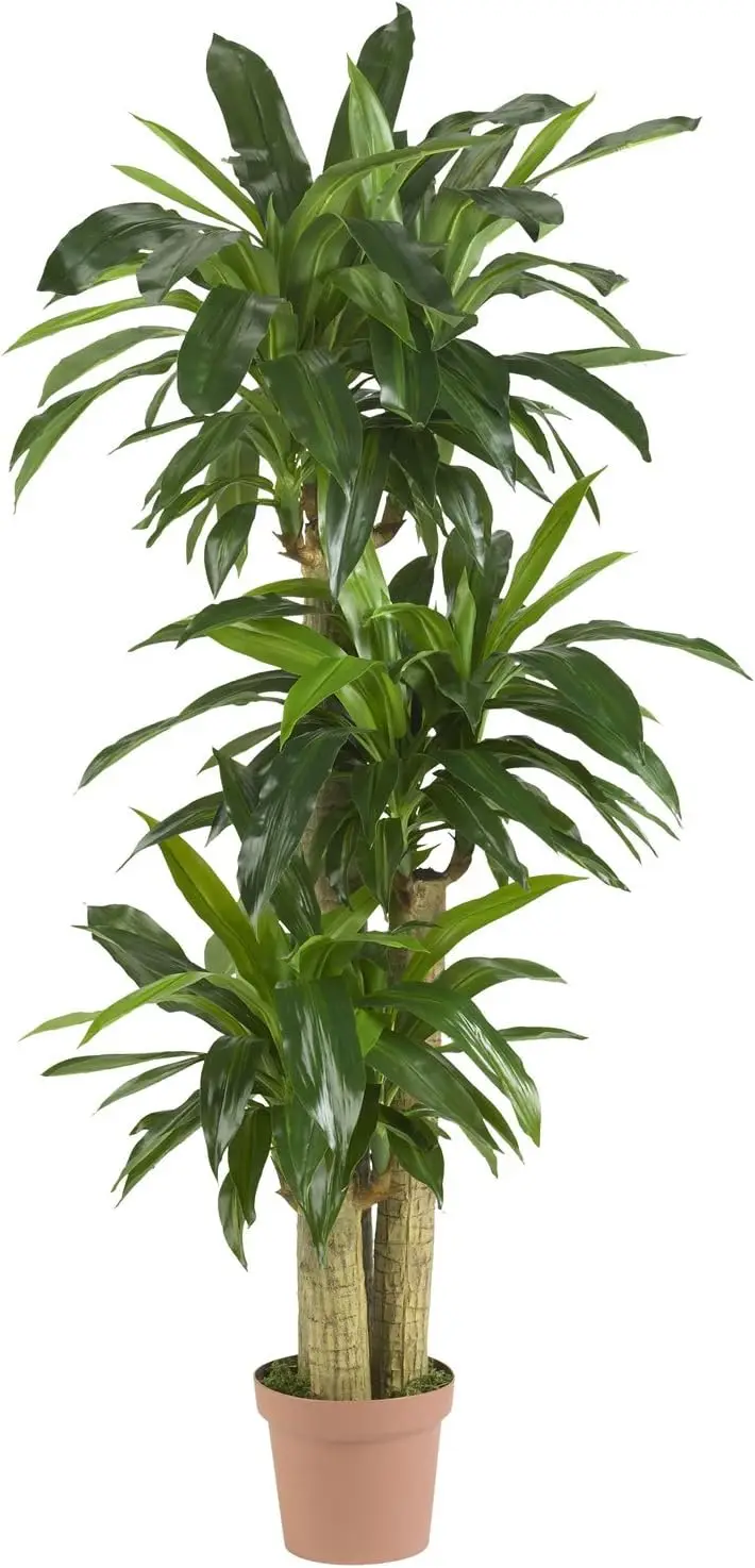 

62In Artificial Corn Stalk Dracaena Plant, Tall Fake Plant For Indoor Home Décor, Real Touch Faux Plant