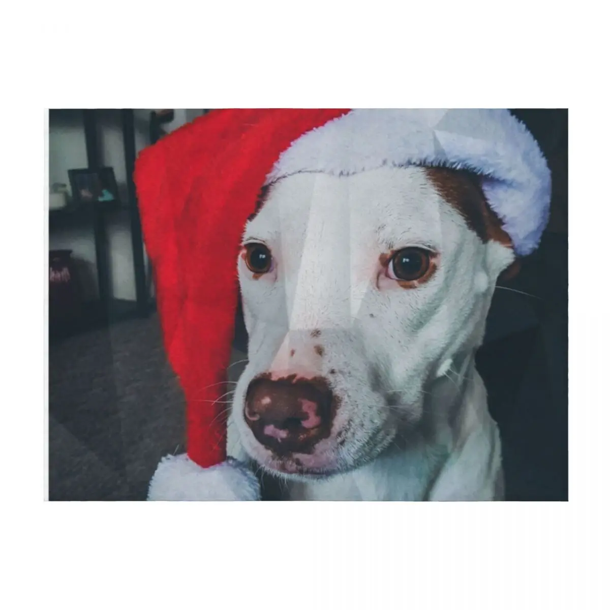 

Pitbull Santa Hat Throw Blanket For Decorative Sofa Thermal Hair Blankets
