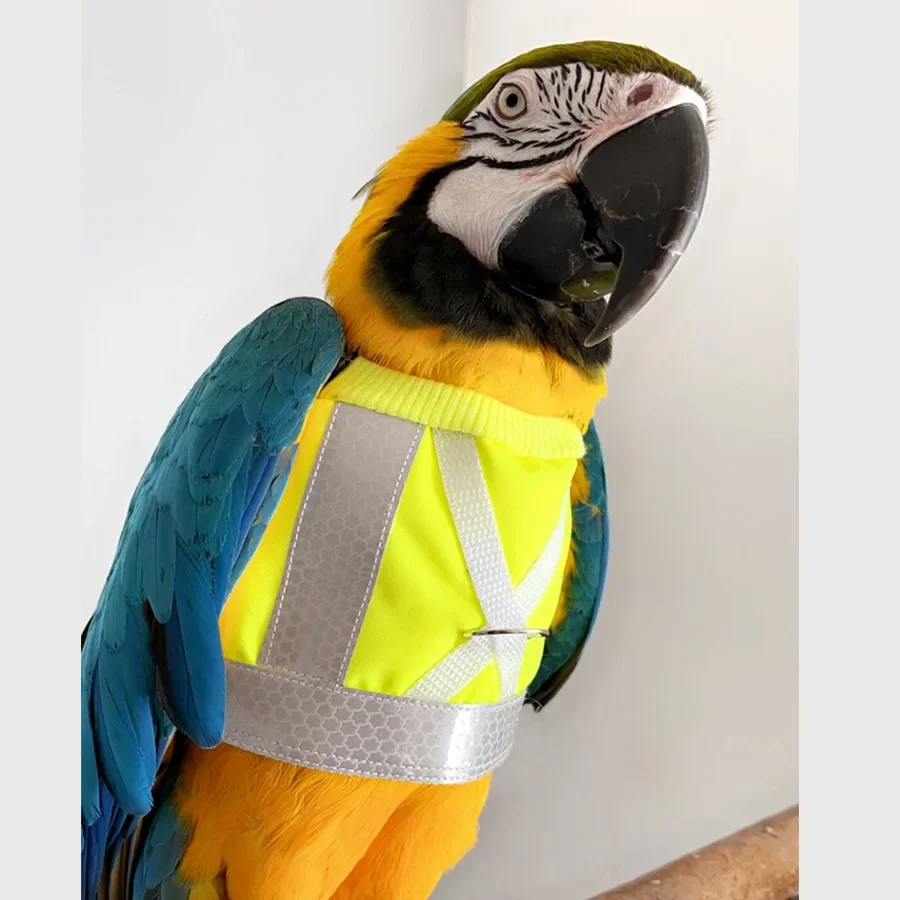 New Creative Parrot Reflective Clothing Towing Rope Pet Bird Vest Pigeon Flight Suit Night Reflective Strip Vest Towing Strap