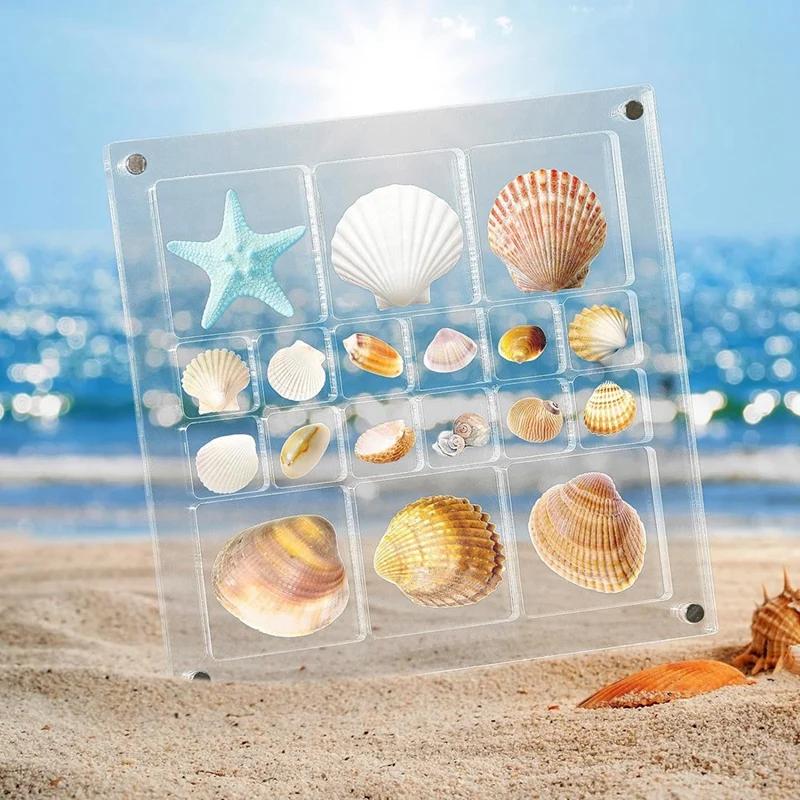 Magnetic Seashell Display Box, Seashell Storage Box Decorative Box For Seashell Starfish Trinket, Bead, Nail, Jewelry