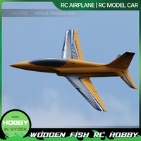 Freewing 70mm Vulcan Electric Channel Jet Aircraft Advanced Sports Aircraft Toy Rc Plane Model Aircraft