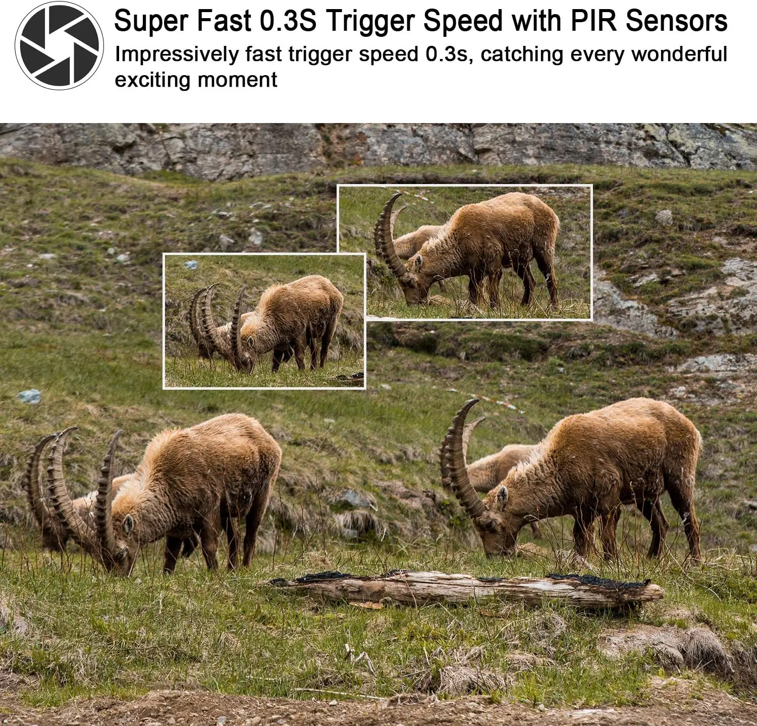 Bestok Trail Game Camera 16MP 1080P مقاوم للماء كاميرا الصيد الكشافة الحركة المنشط لمراقبة الحياة البرية #5