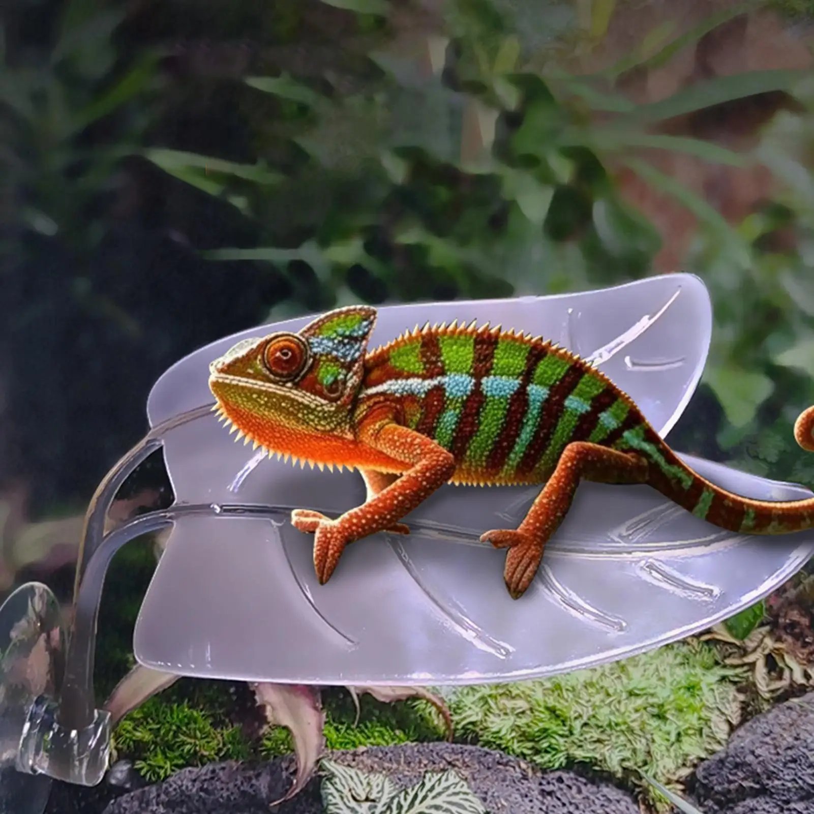 Geckos Frog Habitat Leaf Suction Cup Reptile Basking Area Resting Terrace Suction Cups Tank Decor Simulated Leaves Area Resting