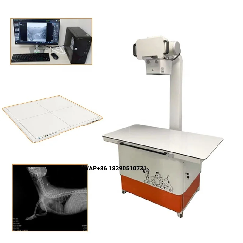 Veterinary Equipment Diagnostic Animal Veterinary X-ray Machine