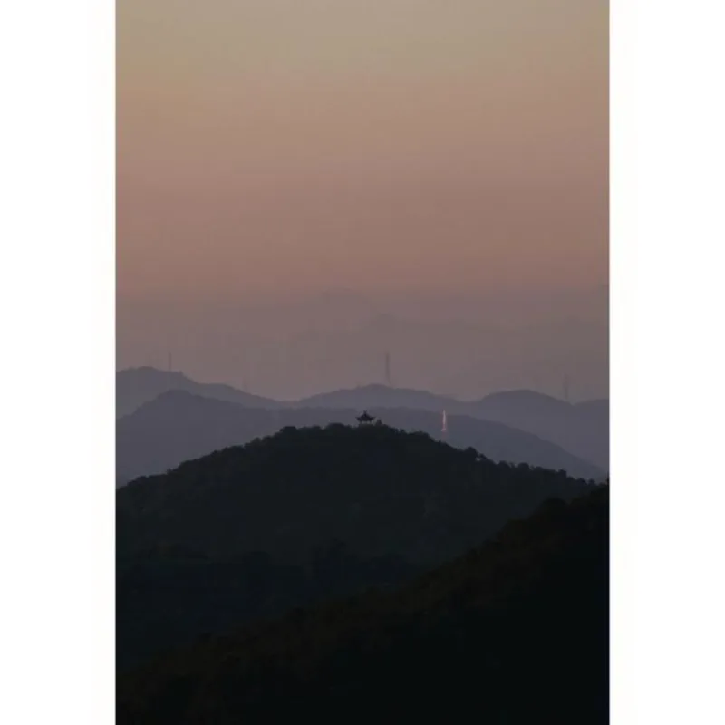 

Tiy 2 шт. светодиодные CANBUS без ошибок 12 В боковые внутренние фонари автомобиля 168 194 3030 SMD BMW Audi супер яркие салонные фонари автомобиля T10 W5W