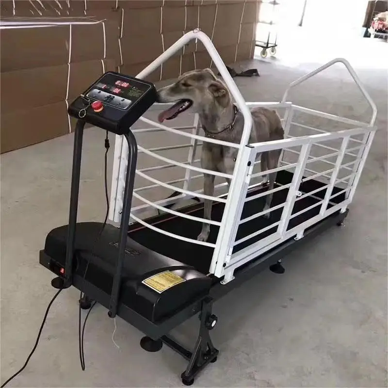 Dog treadmills, electric treadmills for dogs and pets, Gree Beagle, Gehui treadmills