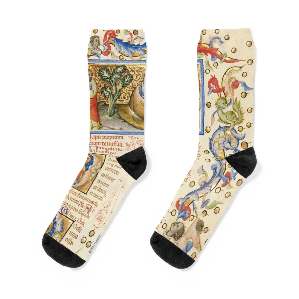 

Medieval illuminated manuscript. medieval miniature Socks golf anti slip football retro designer Designer Man Socks Women's