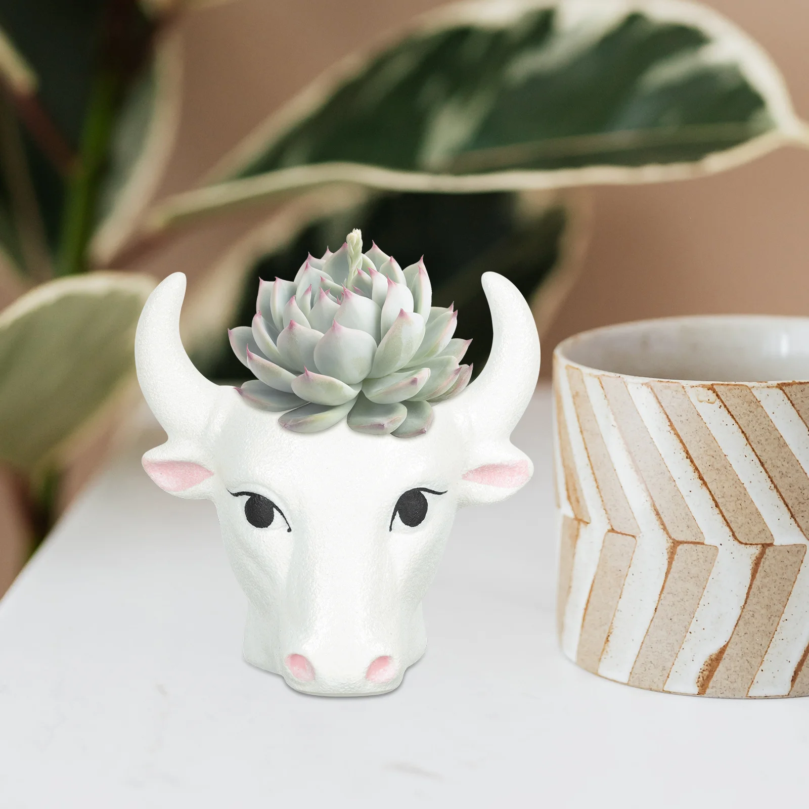 

1Pcs Ox Flower Succulent Plant Holder Compact Desktop Decorative Container for Home Green Plant Flowerpot