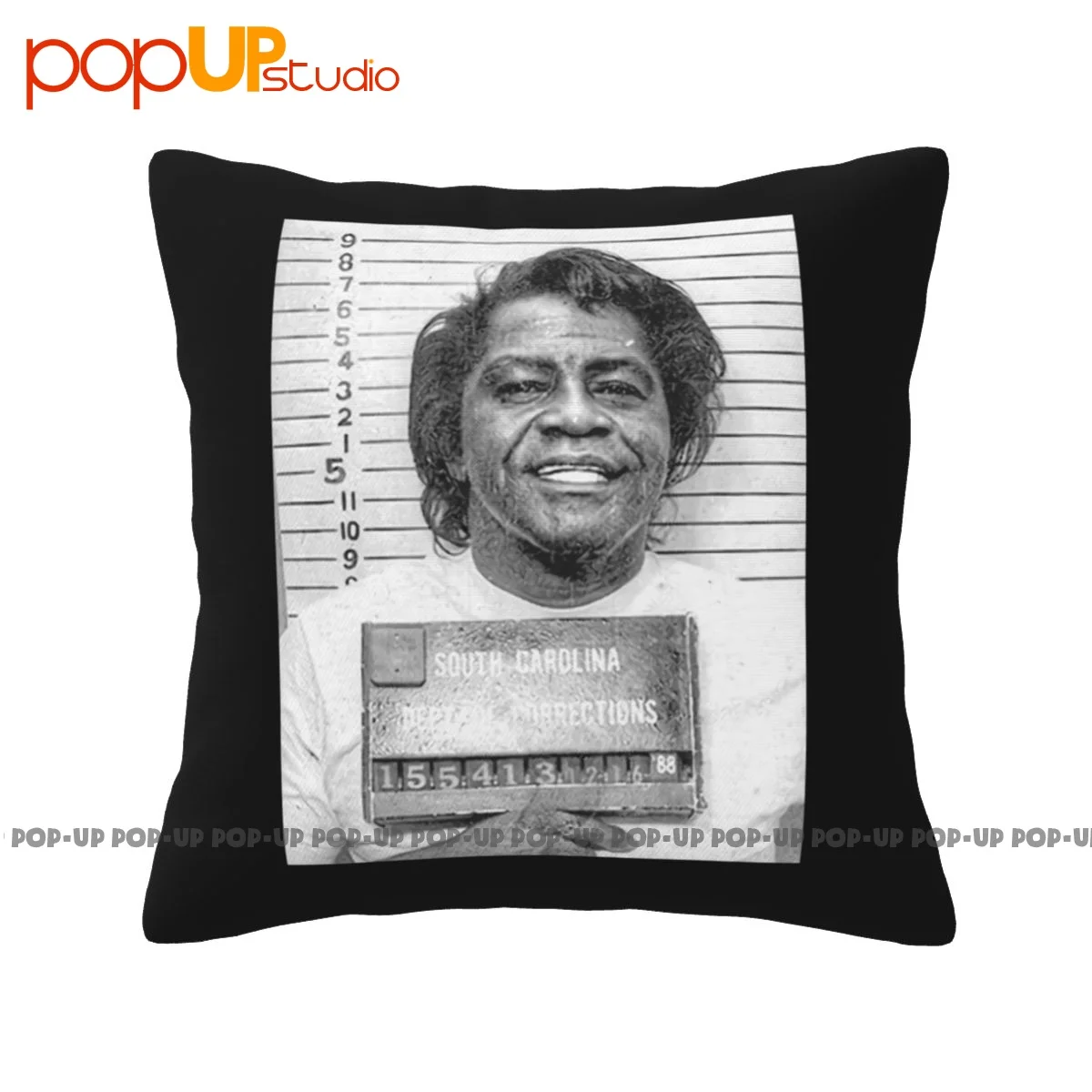 Print James Brown Mugshot Godfather Soul Motown Pillowcase Throw Pillow Cover Fashion Ultra Soft Cushion Cover