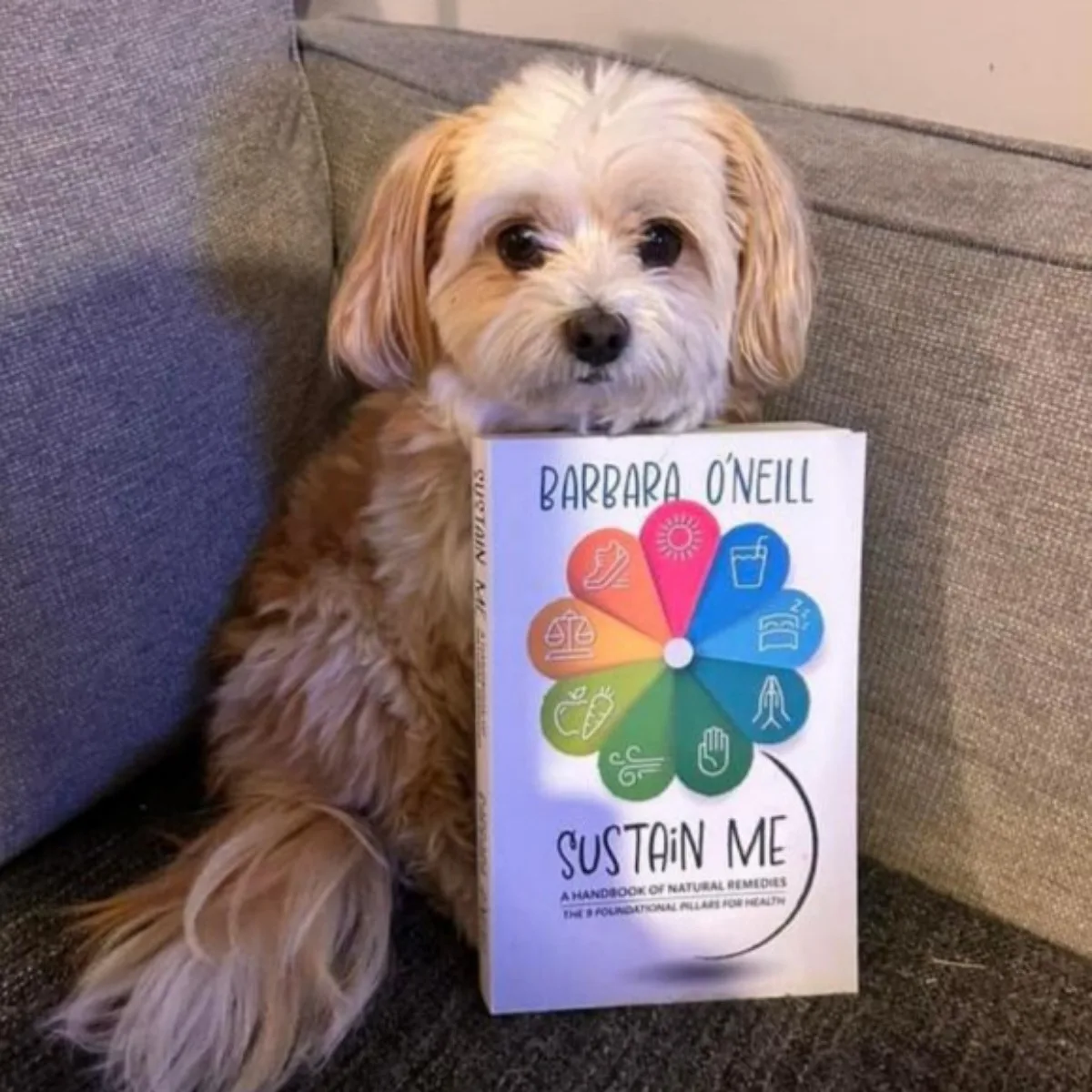 Sustain Me: The Comprehensive Natural Remedies Handbook for Holistic Health - A Guide to 9 Foundational Pillars,