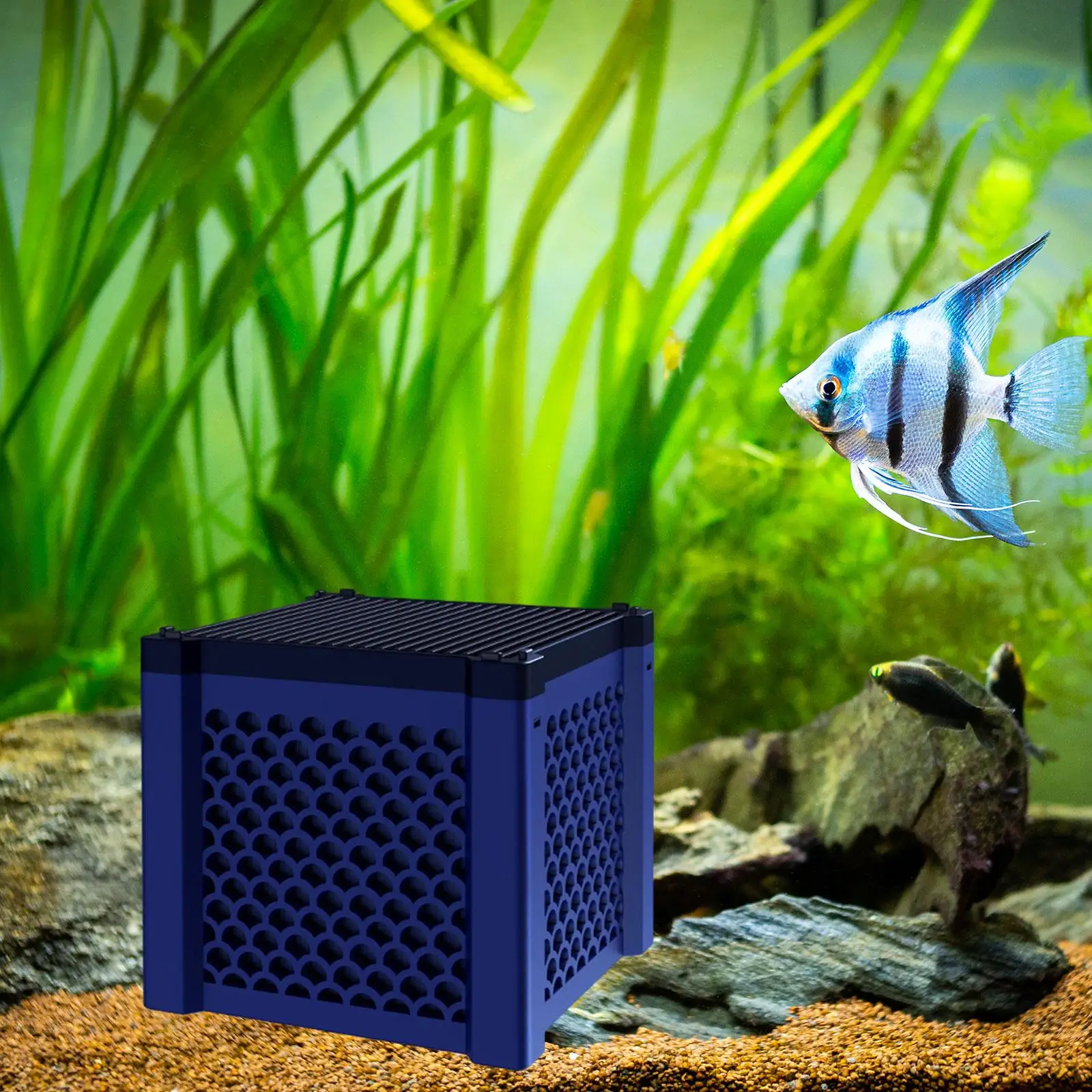 Aquarium Filtration Storage Box Versatile for Fish Tanks Aquarium Cleaning Accs