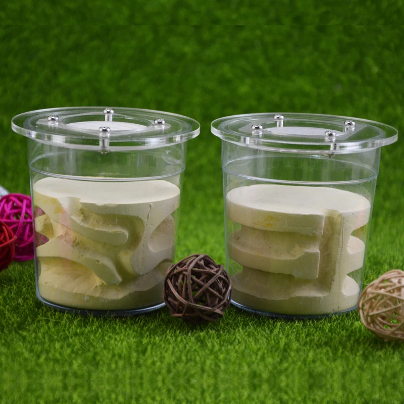 New Ecological Plas… - image