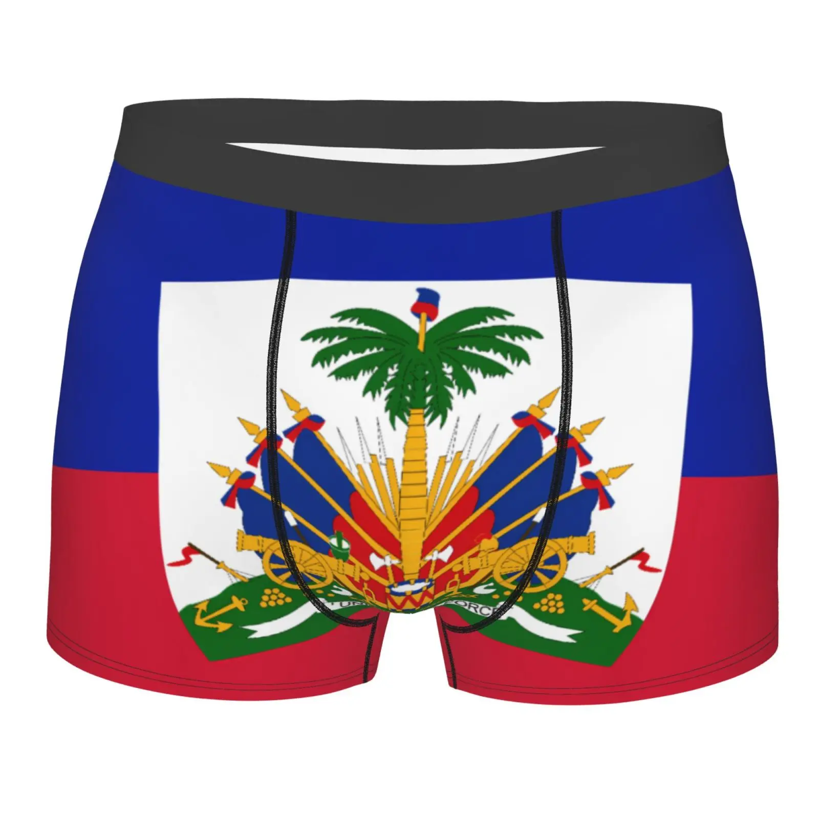 Flag of The Republic of Haiti Pattern Underwear Men Stretch Boxer Briefs Shorts Panties Soft Sexy Underpants for Male