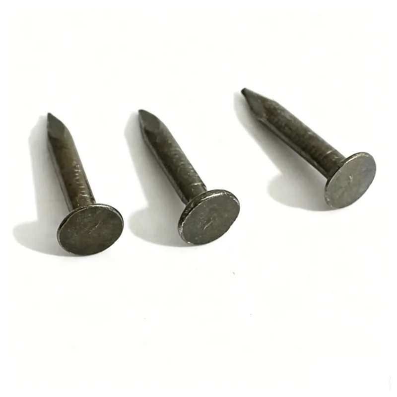 300 clavos para tejas de asfalto, cabeza grande, acero, cemento, para techos y fieltro 6