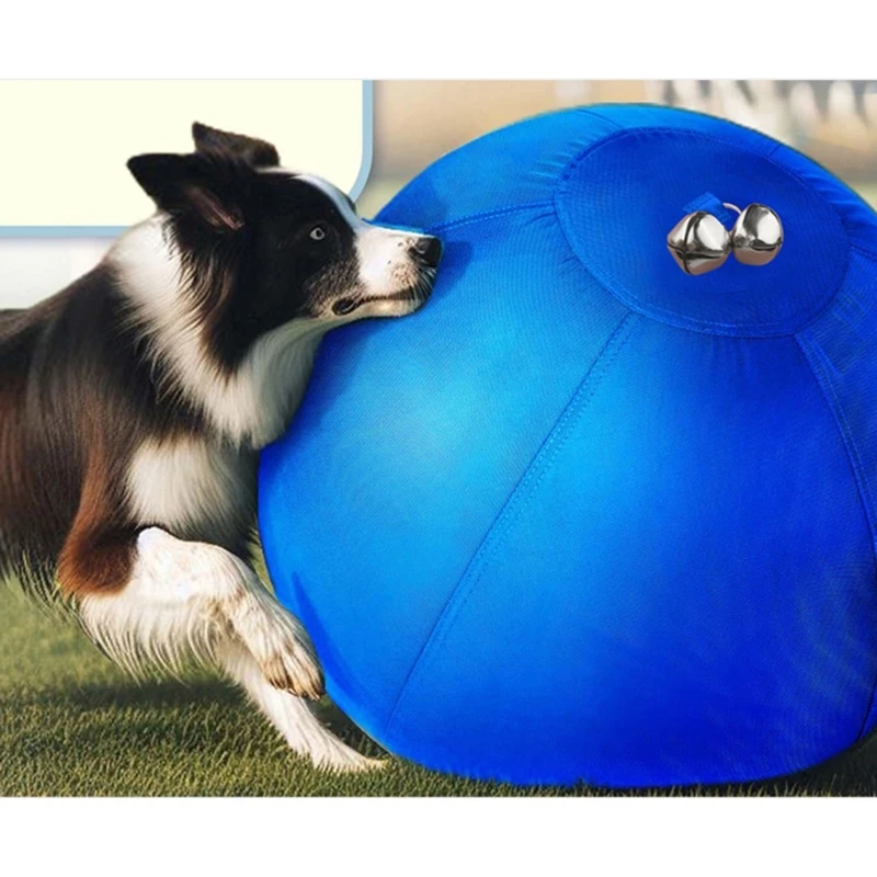 

Dog Herding Ball for Shepherds, Corgis, Collies Interactive Bouncy Toy B03E