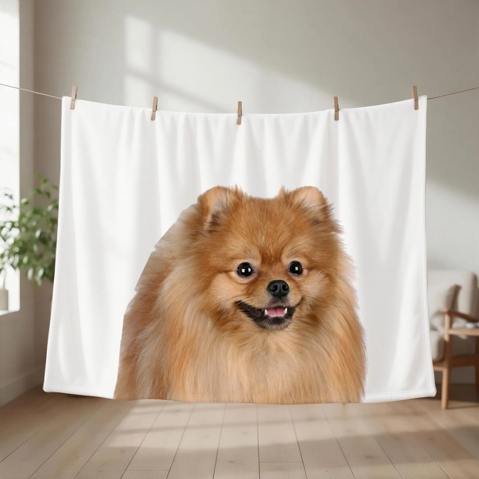 Pomeranian Throw Blanket couch cozy soft plush fuzzy picnic outdoor blanket