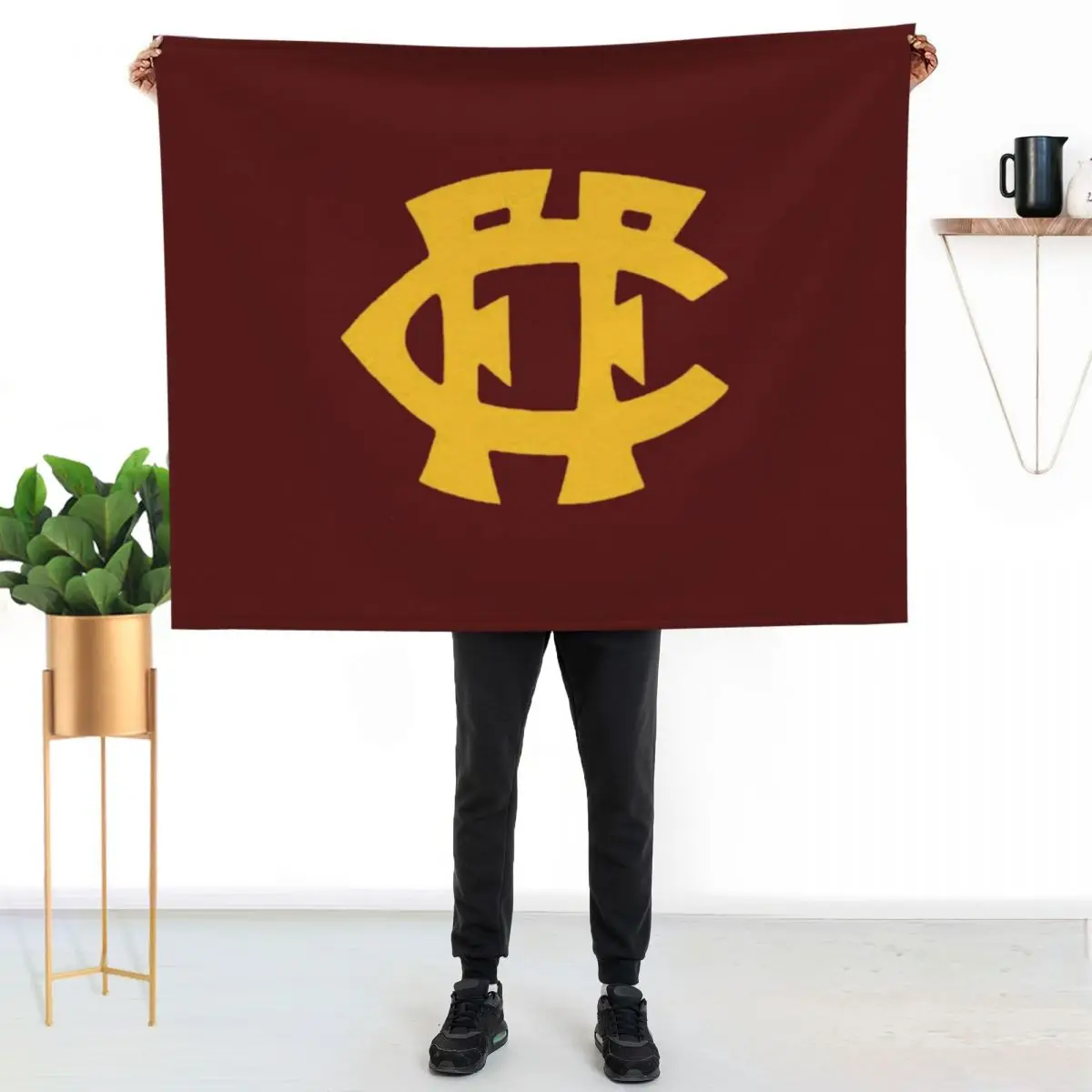 

Fitzroy Football Club Throw Blanket Modern Design Soft Blanket for Home Decor