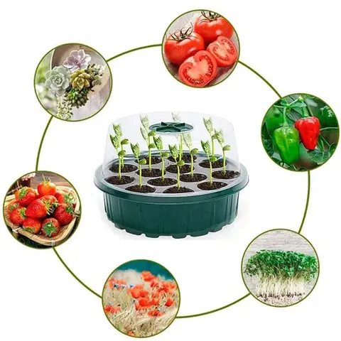 13-håls rund plantlåda Fröodlingsbricka plantlåda bricka Böngroddar Blomplantor Grönsaksfrön Hydroponisk bricka 10 best sales bonsai-frö - №6