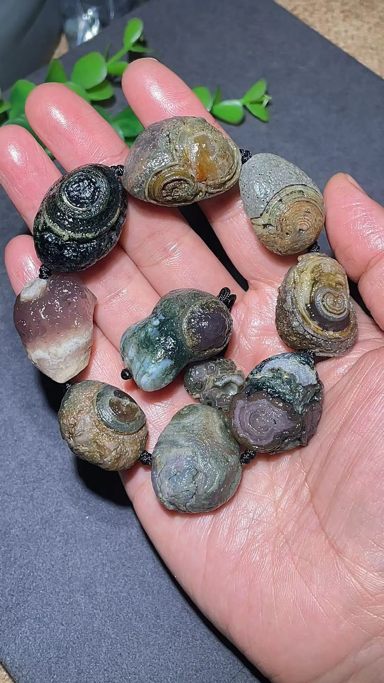 10pcs/lot New Year Special Wholesale Large Men's Premium Eye Stone Gobi Agate Bracelet Raw Stone Specimen Wearable for Gifts