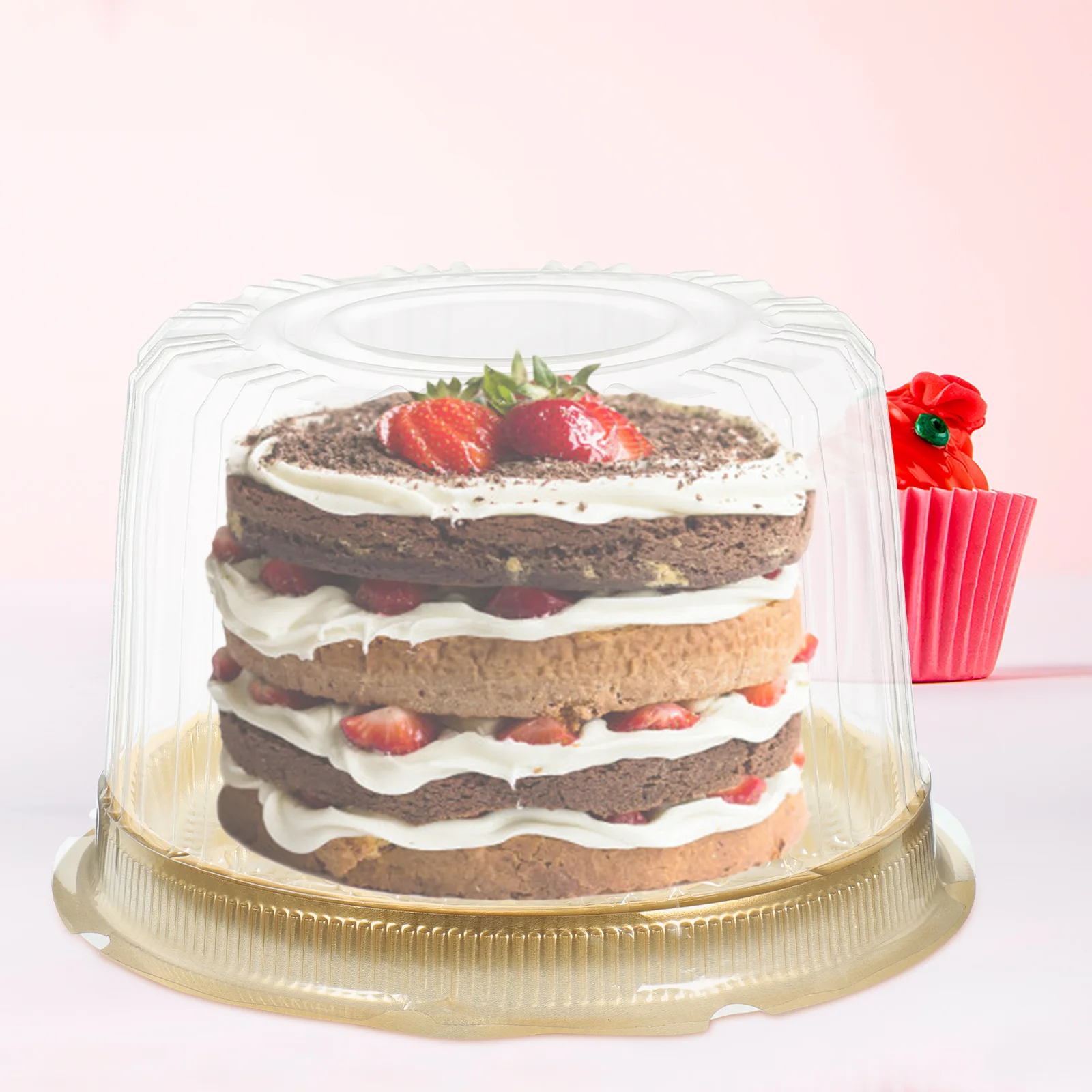 10 Pcs Cake Box Wedding Stands Plastic Carrier Container with Lids Slice Paper Cup of Containers The Pet Boxes Travel