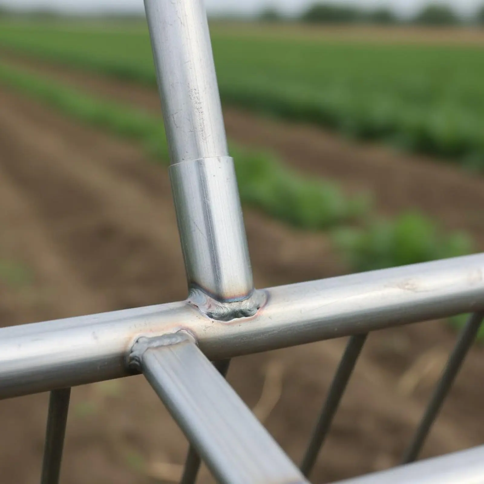 

Garlic Digging Fork Sturdy Construction Garlic Harvest Fork Farm Tool Easy to Use Low-Maintenance