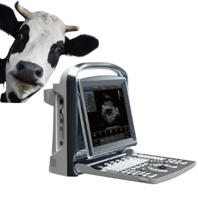 2026 Vet Medical Ultrasound Instruments Ultra Sound Scanner for Big Small Animal Black and White Electric CE Guangdong