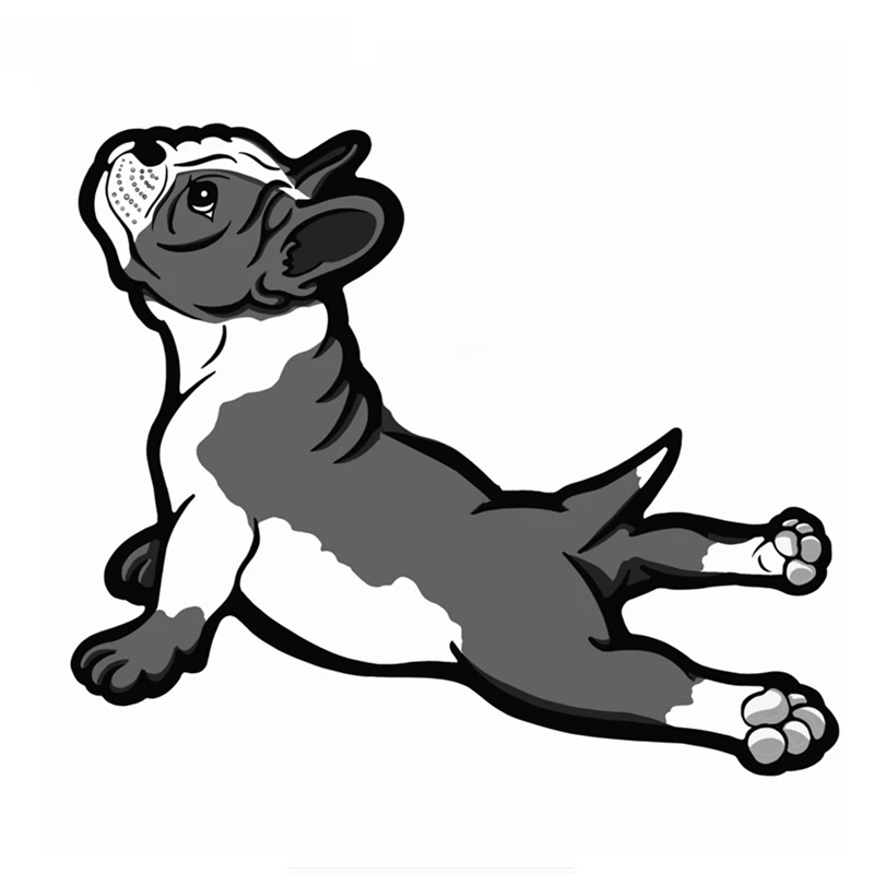 

M1043# Car Sticker Cute Dog Boston Terrier Funny Colored Motorcycle Accessories Waterproof Sunscreen Vinyl Decal
