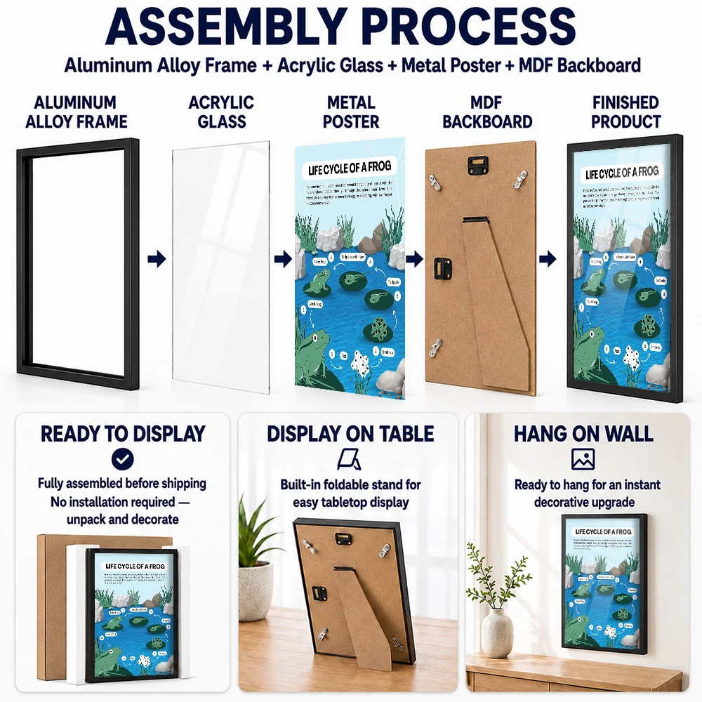 Frog Life Cycle Diagram Metal Poster With Aluminum Alloy Frame Personalized Photo Technical Reference Style Wall Art For Study