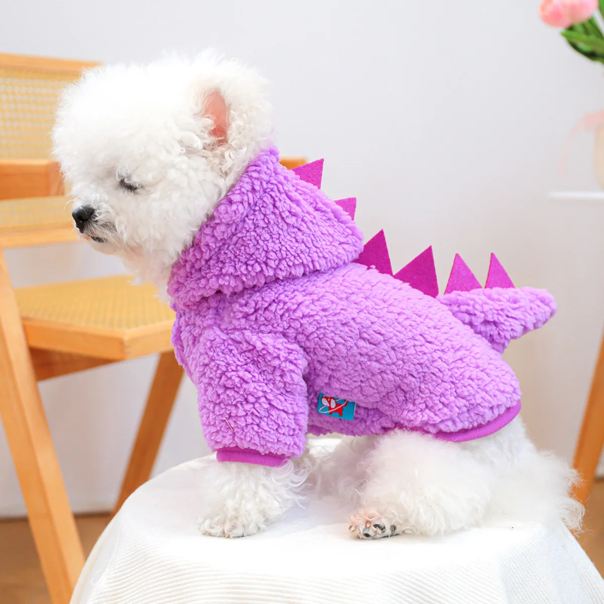 

New autumn and winter dog clothes cute cartoon dinosaur clothes double-sided velvet small and medium-sized dog pet clothes